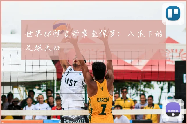 世界杯预言帝章鱼保罗:八爪下的足球天机