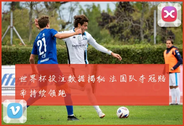 世界杯投注数据揭秘 法国队夺冠赔率持续领跑