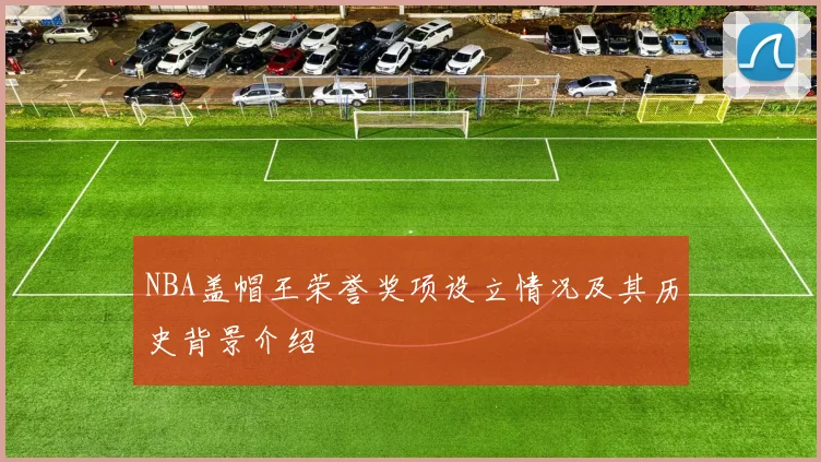 NBA盖帽王荣誉奖项设立情况及其历史背景介绍