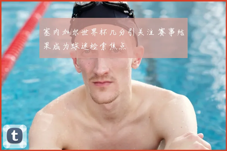 塞内加尔世界杯几分引关注 赛事结果成为球迷检索焦点