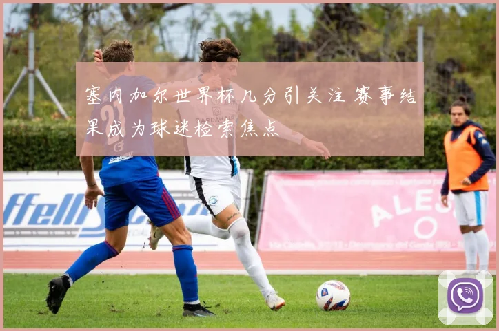 塞内加尔世界杯几分引关注 赛事结果成为球迷检索焦点