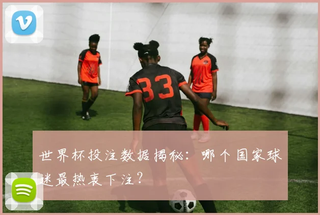 世界杯投注数据揭秘:哪个国家球迷最热衷下注?