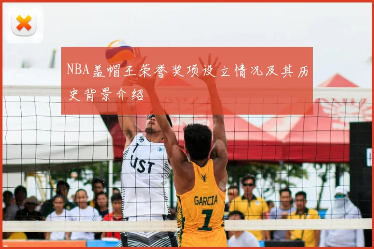 NBA盖帽王荣誉奖项设立情况及其历史背景介绍